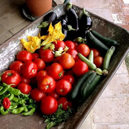 La Giuiaia - Agriturismo Azienda Agricola ファームステイ Ravigliano
