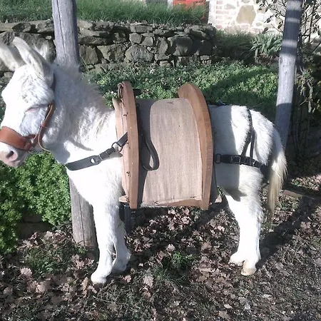 La Giuiaia - Agriturismo Azienda Agricola ファームステイ *