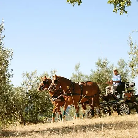 La Giuiaia - Agriturismo Azienda Agricola
