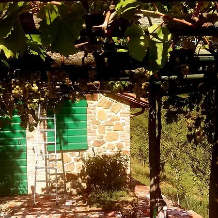 La Giuiaia - Agriturismo Azienda Agricola Agroturismo