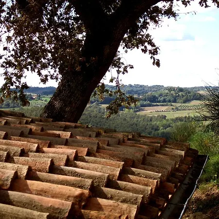 La Giuiaia - Agriturismo Azienda Agricola ファームステイ