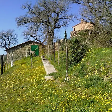 Agroturismo La Giuiaia - Agriturismo Azienda Agricola