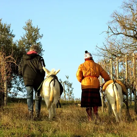 Agroturismo La Giuiaia - Agriturismo Azienda Agricola Ravigliano