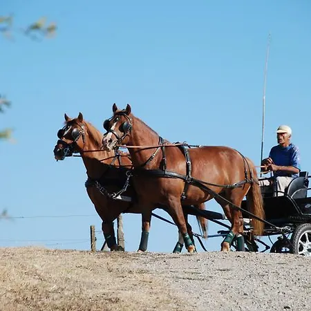ファームステイ La Giuiaia - Agriturismo Azienda Agricola