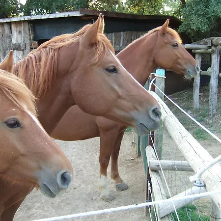 La Giuiaia - Agriturismo Azienda Agricola Agroturismo