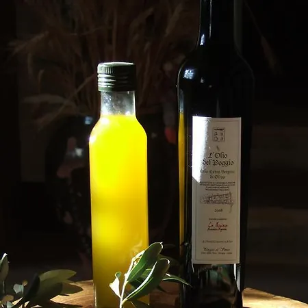 La Giuiaia - Agriturismo Azienda Agricola Ravigliano