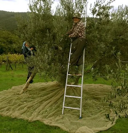 ファームステイ La Giuiaia - Agriturismo Azienda Agricola