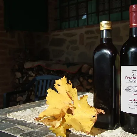 La Giuiaia - Agriturismo Azienda Agricola Ravigliano