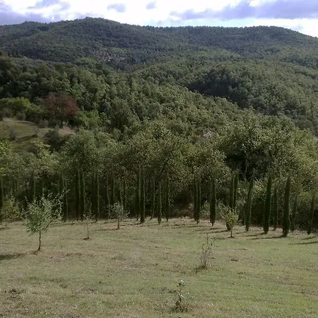 La Giuiaia - Agriturismo Azienda Agricola