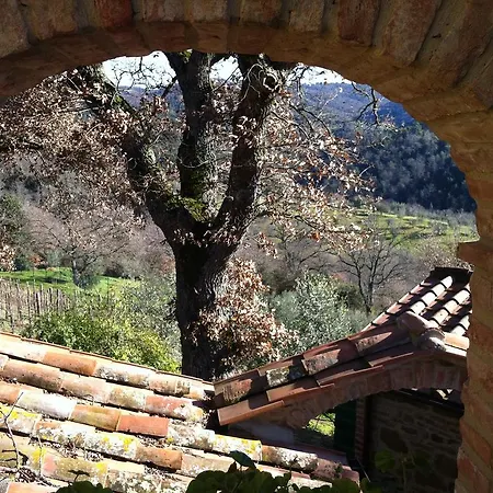 Agroturismo La Giuiaia - Agriturismo Azienda Agricola