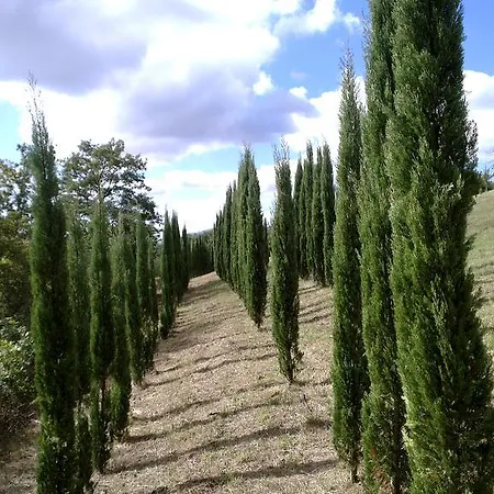 La Giuiaia - Agriturismo Azienda Agricola Ravigliano
