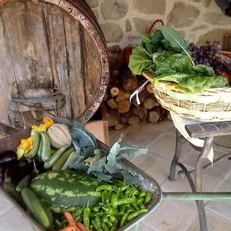 La Giuiaia - Agriturismo Azienda Agricola Agroturismo