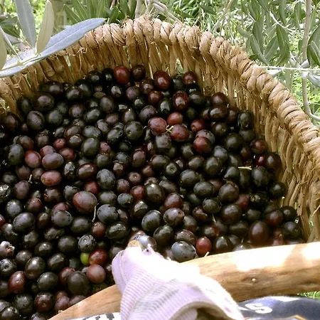 La Giuiaia - Agriturismo Azienda Agricola Agroturismo