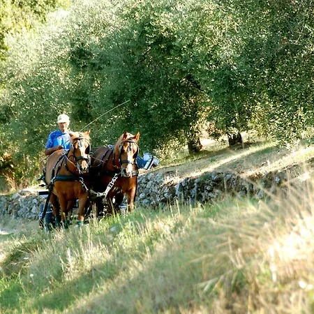 La Giuiaia - Agriturismo Azienda Agricola *