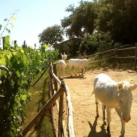 La Giuiaia - Agriturismo Azienda Agricola *