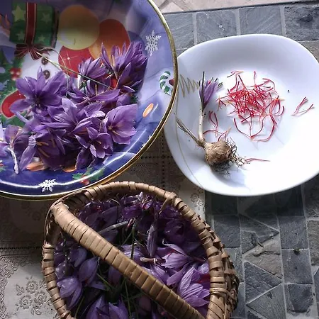 La Giuiaia - Agriturismo Azienda Agricola ファームステイ