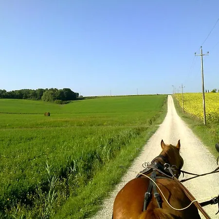 Agroturismo La Giuiaia - Agriturismo Azienda Agricola *